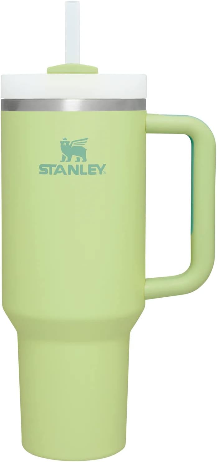 Stanley Quencher Stainless Steel Tumbler - 20oz