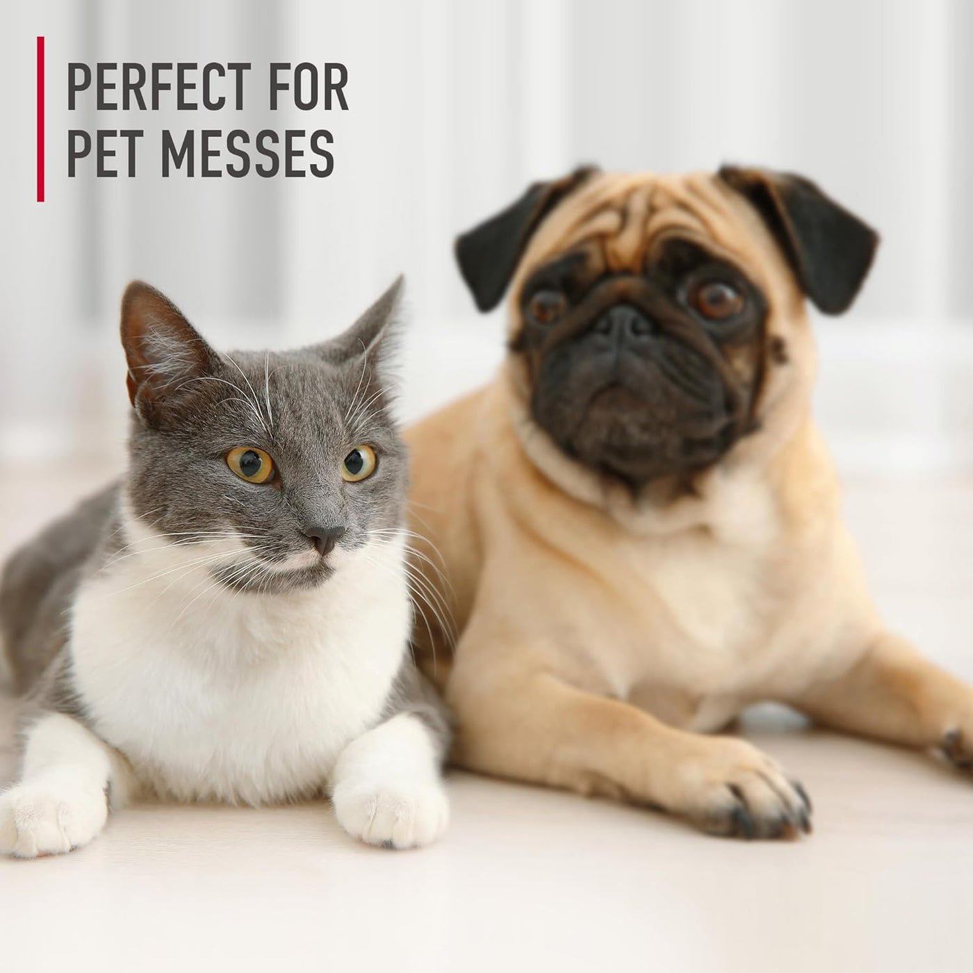 Hoover Paws & Claws Carpet Shampoo - Pet-Friendly, 64oz, Concentrated Cleaner Solution with Stainguard