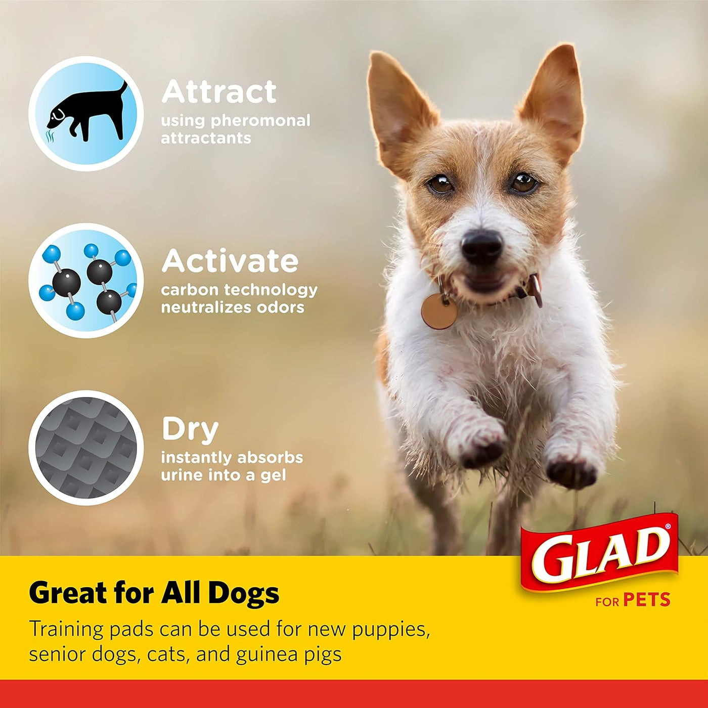 Glad for Pets Black Charcoal Training Pads for Dogs, 23" x 23" - Super Absorbent & Odor Neutralizing Dog Potty Pads, Leak-Resistant Puppy Pee Pads, Pheromone Attractant for Easy Training, Pack of 100
