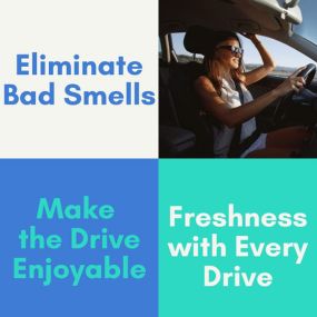 Air Jungles New Car Scent Car Air Freshener Clip, 6 Car Freshener Vent Clips, 4ml Each