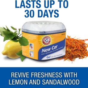ARM & HAMMER AH8300NEC 4.5oz Gel Air Freshener, New Car, 1 Pack