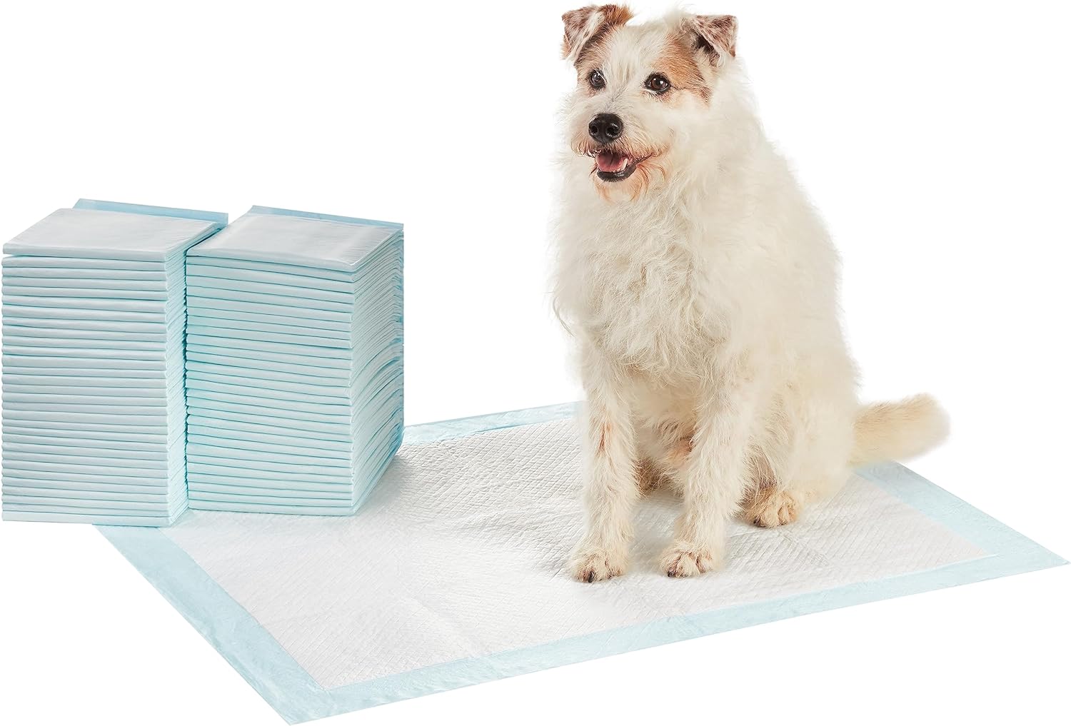 Dog and Puppy Pee Pads with 5-Layer Leak-Proof Design and Quick-Dry Surface for Potty Training, Standard Absorbency, X-Large, 28 x 34 Inch - Pack of 60, Blue & White